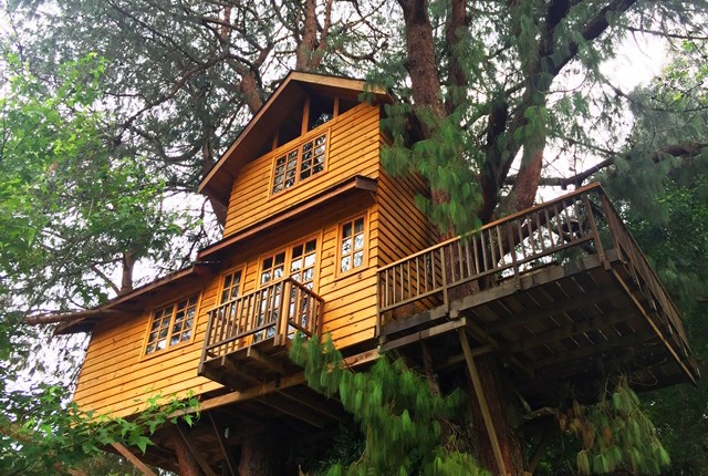 Casa na Árvore em Campos do Jordão